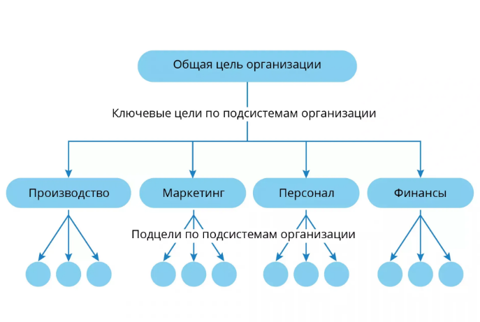 https://cdn.viberu.ru/texteditor/moxiemanager/data/files/blobid1710490462114.jpg